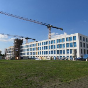 IMG_1909.JPG