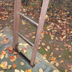 bilder allgemein 003.jpg