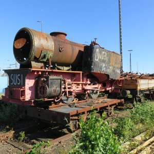 IMG_3084.JPG