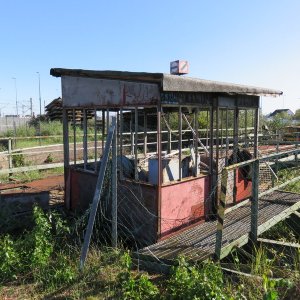 IMG_3117.JPG