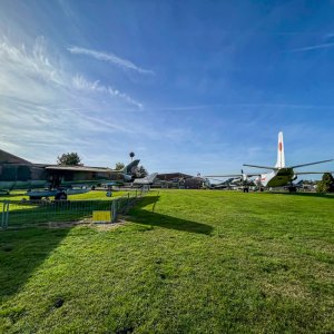 135.jpg