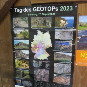 IMG_7475.JPG