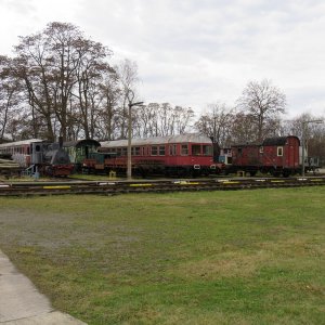 IMG_2228.JPG