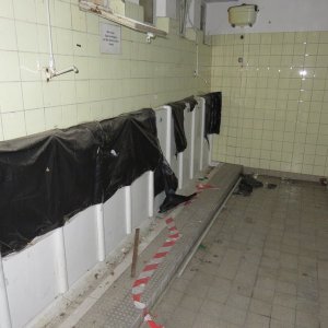 IMG_5890.JPG