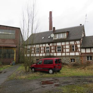IMG_6037.JPG
