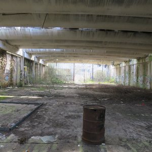 IMG_6526.JPG