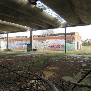 IMG_6522.JPG