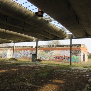 IMG_6529.JPG