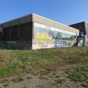 IMG_6310.JPG