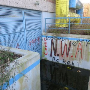 IMG_6332.JPG