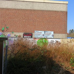 IMG_6335.JPG