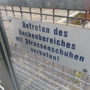 IMG_7713.JPG