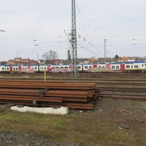IMG_7426.JPG