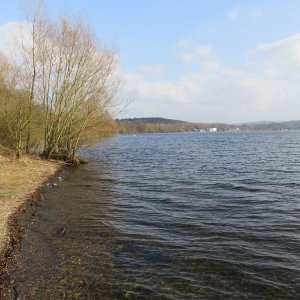 IMG_6615.JPG