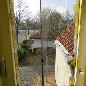 IMG_6629.JPG