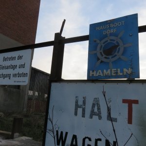 IMG_6667.JPG