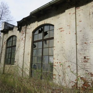 IMG_7491.JPG