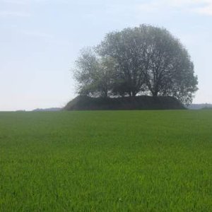 gemischt,bunker 062.jpg