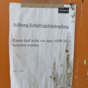IMG_6785.JPG