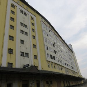 IMG_7074.JPG
