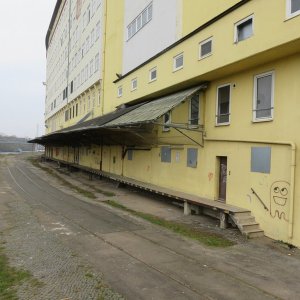 IMG_7085.JPG