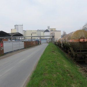 IMG_7134.JPG