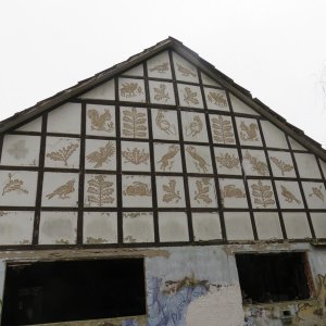 IMG_7766.JPG