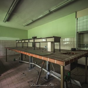 v41.jpg