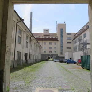 IMG_4365.JPG