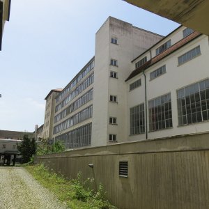 IMG_4376.JPG