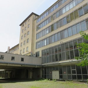 IMG_4384.JPG