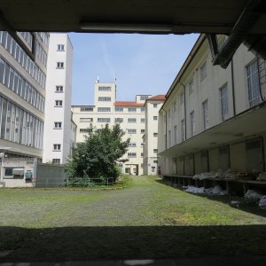 IMG_4391.JPG