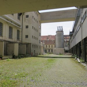 IMG_4398.JPG