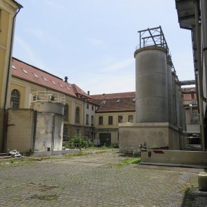 IMG_4401.JPG