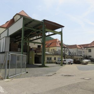 IMG_4356.JPG