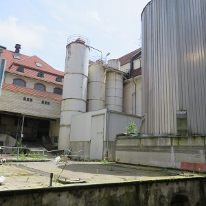 IMG_4410.JPG