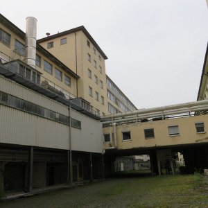 IMG_4904.JPG