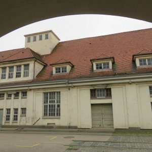 IMG_4952.JPG
