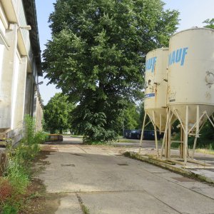 IMG_3798.JPG