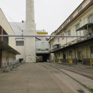 IMG_4968.JPG