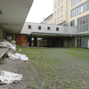 IMG_4924.JPG