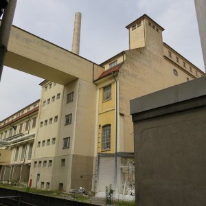 IMG_4878.JPG