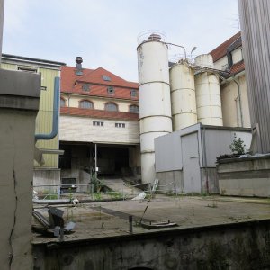 IMG_4868.JPG
