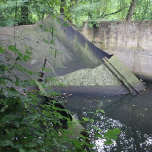 Pleistalwerk_25-202407.JPG