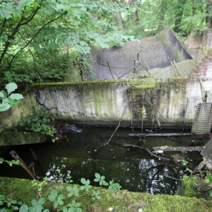 Pleistalwerk_26-202407.JPG