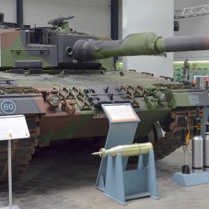 DSC_0170_Leopard_2_A4.jpg