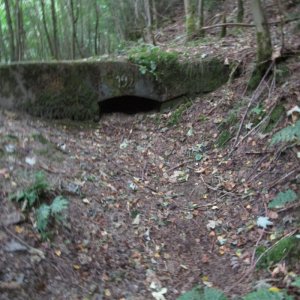 Medium 'IMG_6037.JPG' in der Kategorie 'Bergbau und Naturhöhlen'