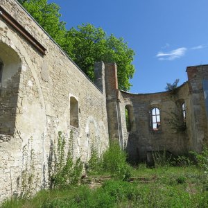 IMG_0768.JPG