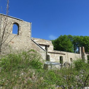 IMG_0748.JPG