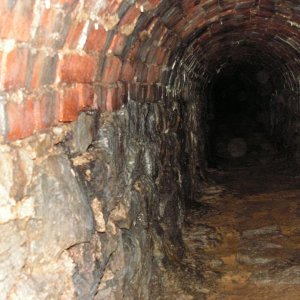PICT0056.JPG